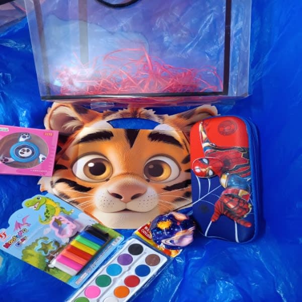 Hamper 27 - Wholesale Toys India
